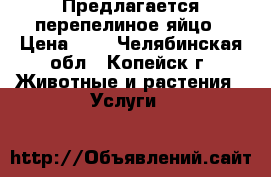 Предлагается перепелиное яйцо › Цена ­ 3 - Челябинская обл., Копейск г. Животные и растения » Услуги   